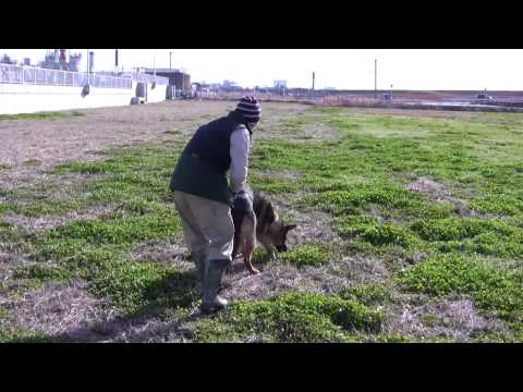 Miran von Kyoto Masuda 9month tracking