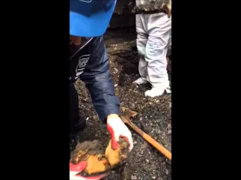 Misaskim Sifting Through Rubble At New Brunswick Shul For Burnt Sifrei Torah