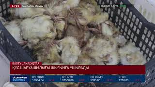 ҚҰС ШАРУАШЫЛЫҒЫ ШЫҒЫНҒА ҰШЫРАДЫ