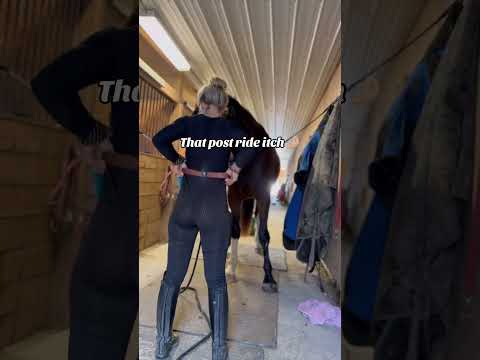 Slight adjustment needed #itsamandalee #music #cowgirl #equestrianjourney #rodeo #horsecare