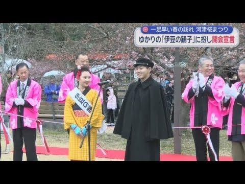 YouTube Video 河津桜まつり始まる　川端康成の「伊豆踊り子」発表から１００年にちなんだ開会宣言　見ごろは２月中旬か　静岡・河津町