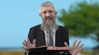 מסכת זבחים דף נא - 8 דקות של לומדות ועמקות בדרך הלימוד הישיבתית [Zevachim 51]