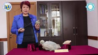 История одного экспоната