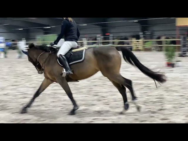 Sky van het Groene Dak