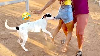 Dog Is The FUN Police | Funniest Viral Pets 🤪