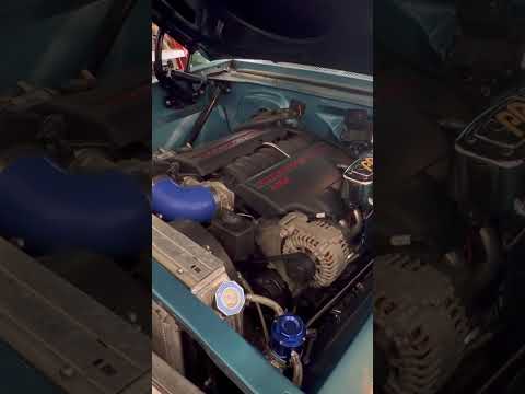 1967 Chevrolet Nova II SS (CC-2059858) for sale in Tampa, Florida