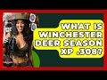 What Is Winchester Deer Season XP 308 The Marksman S Journal