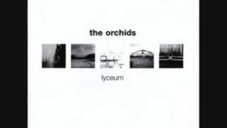 THE ORCHIDS If you can't find love