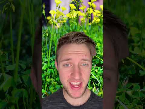 Do you have survival instincts??