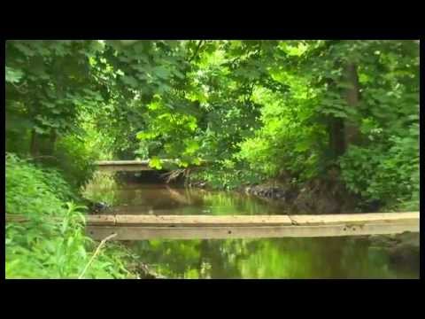 Gmina Piątek - też się zdziwisz