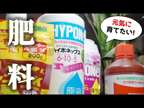 キョウチクトウに適した肥料 植物