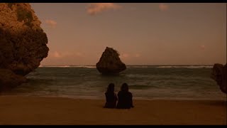 citizen - yellow love