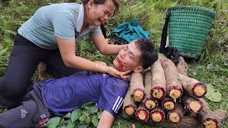 The poor couple went to the mountain to pick herbs to sell. Happy smile | My life TS