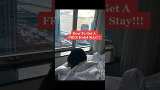 How To Get A FREE Hotel Stay! #hotel #hotels #hotelroom #howto #howtovideo #shorts #short #travel