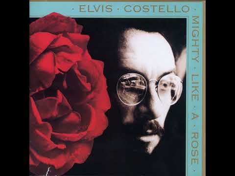Put Your Big Toe In The Milk Of Human Kindness - Elvis Costello