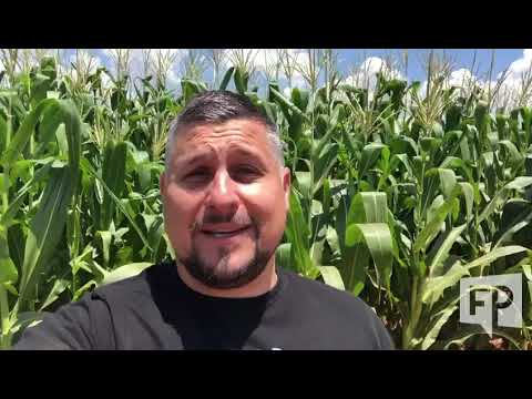 Damian Engelbrecht stuur liefde die Valentynsdag