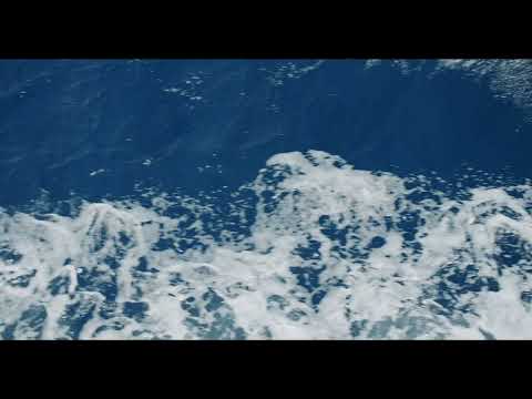 RODI SUNCE SA PLANINA - JADRANKA BARJAKTAROVIĆ