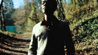 BRIAN BLADE - BROTHER