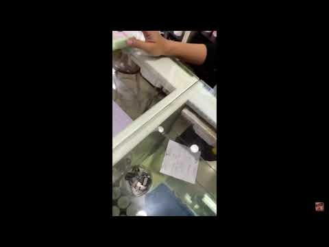 Dreamocel tanya tissue magic ke Mbak-mbak penjualnya KEKW