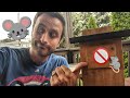 How to Keep Mice Out of Bluebird Houses 🚫🐀
