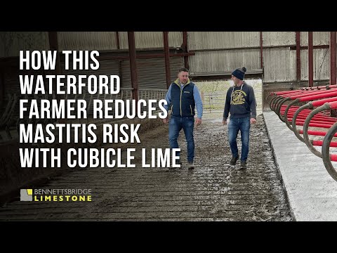 Cubicle Lime - Bennettsbridge Limestone - Image 2