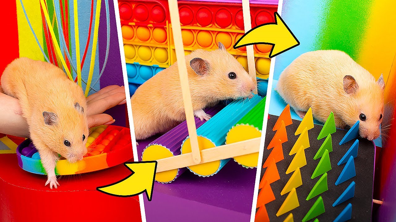 Como Fazer um Enorme Labirinto de POP-IT para Hamsters!