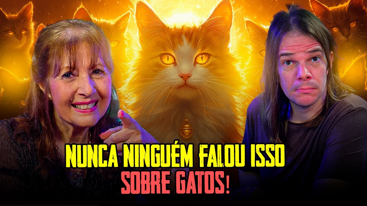 TUDO SOBRE GATOS ! MIAURISA