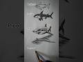 how to draw a shark 🦈😱 #art #youtubeshorts #shorts #@ArtwithBir_9 #drawing