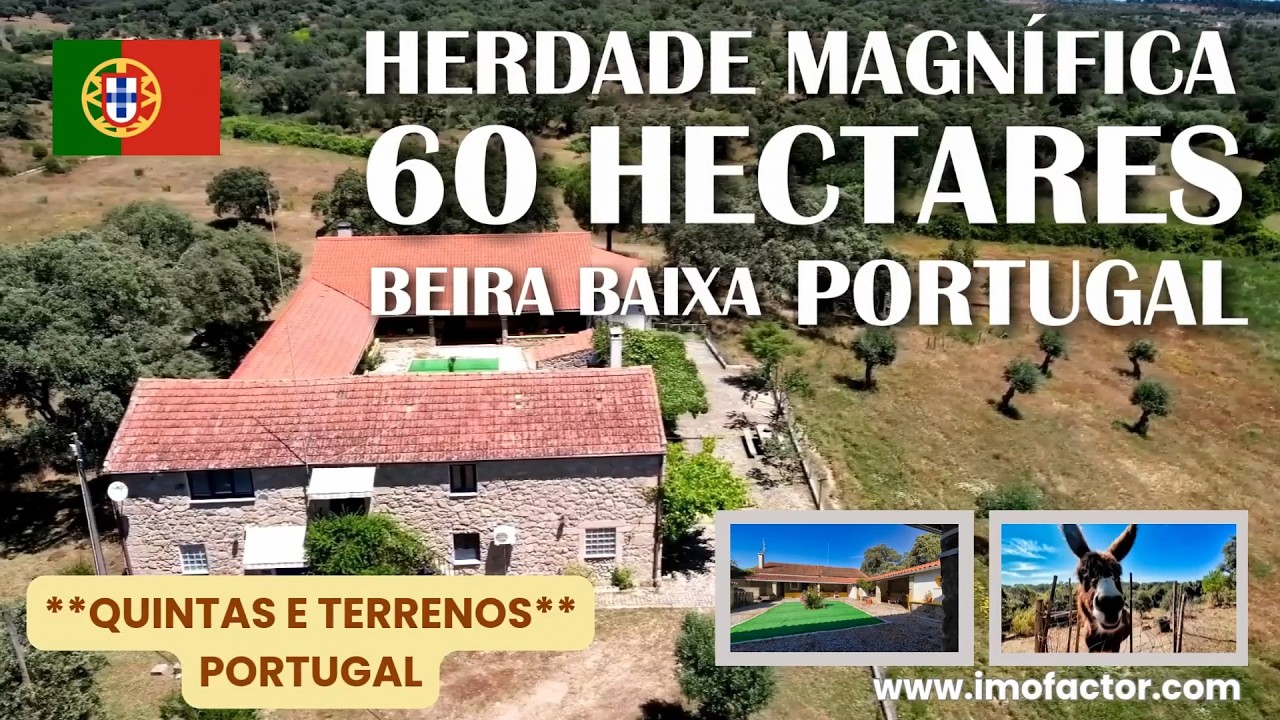 Vídeo do imóvel