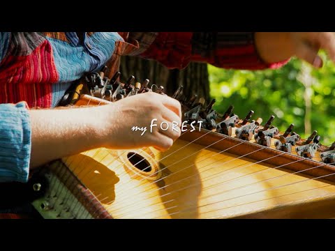 WWD 2021 Music of Wood - myForest - "The Morning in the Forest" by Winter Sun