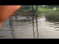 Selam Jallikattu Kalai Kanru WhatsApp Status Video