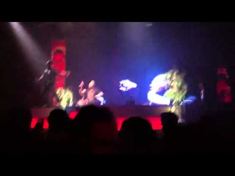 Max enforcer - gold (xxlerator frontliner)