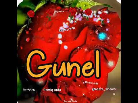 Ramiq Arda Gunel adına aid video