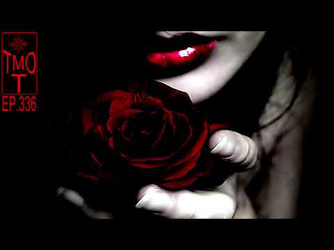 The Moment Of Trance 336