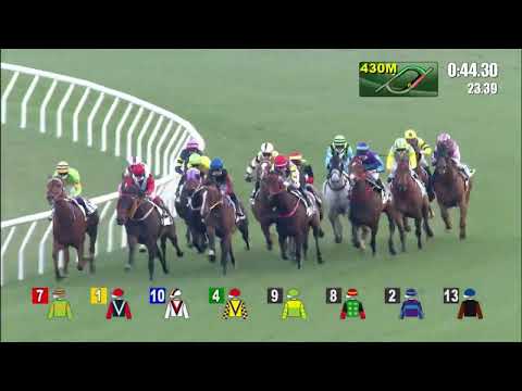 27/2/2022 (462) Cordyceps Six - B Shinn