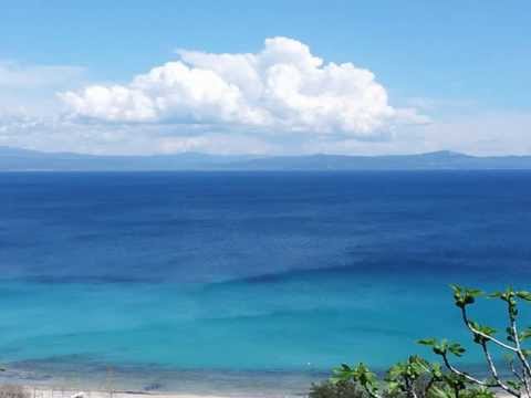 DJ Shog feat. Aven - Surrounded By Your Love