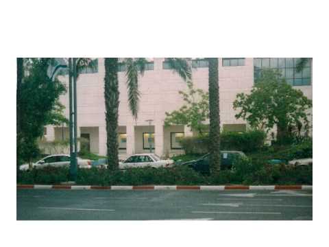 Ramat Aviv art show 2005 movie