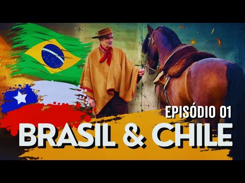 Cabanha Os Charruas Special: the best of the Criollo horse in Chile and Brazil