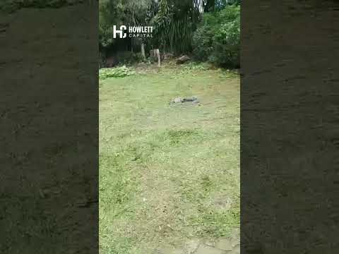 Se Vente Lote en San Juan de Grecia, Alajuela