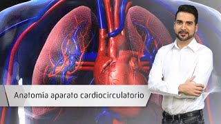 Anatomía Aparato cardiocirculatorio Anatomía Aparato cardiocirculatorio