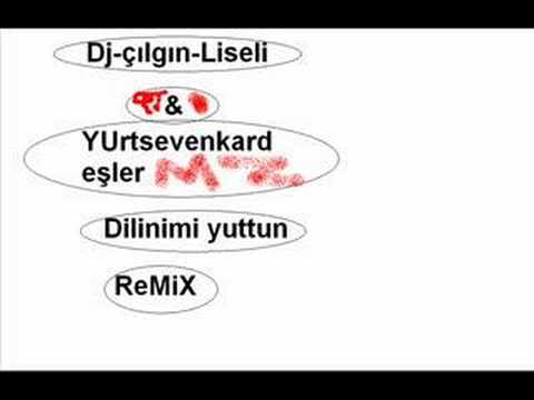 Dj-çılgın-Liseli & Yurtsevenkardeşler-Dilinimi yuttun(rmx)