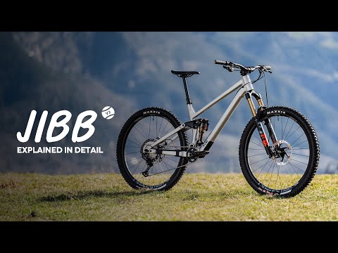 RAAW Jibb V2 - Explained in Detail