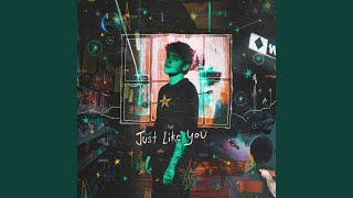 Just Like You