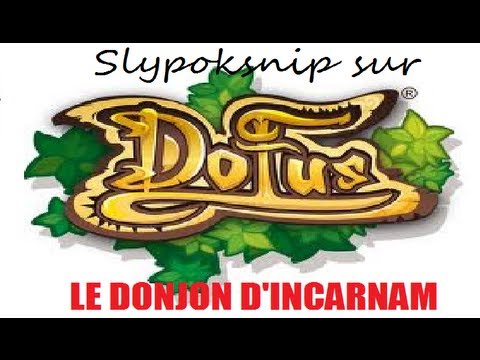 comment entrer dans le donjon d'incarnam dofus