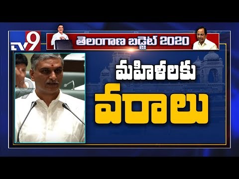 哈里什-拉奧在大會上祝願婦女節快樂 - TV9 (Harish Rao wishes Happy Women's Day in Assembly - TV9)
