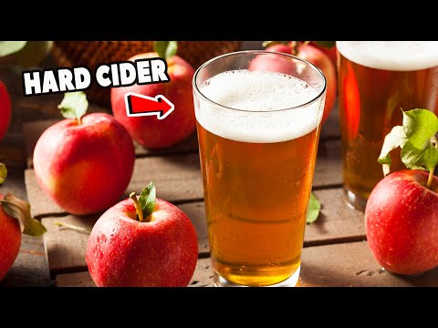 HARD CIDER FOR BEGINNERS (make it at home!)