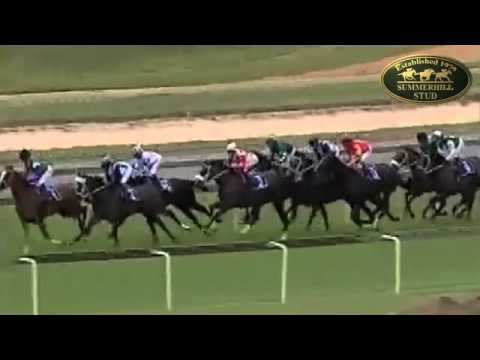 HOLLYWOODBOULEVARD (AUS) : THREE TROIKAS STAKES