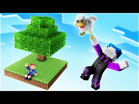 MINECRAFT WELT = PLATTE