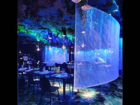 Ephéméra, o novo restaurante imersivo no 13º ano