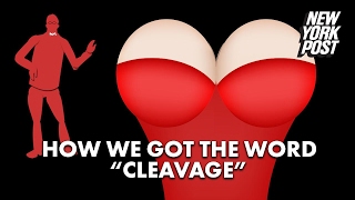 This video about boobs will also teach you about words